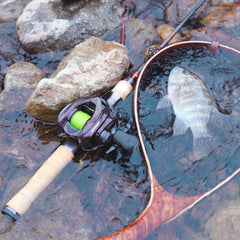 KastKing Valiant Eagle II Pro Bait Finesse System Baitcasting Reel - 6kg Max Drag, 8.4:1 High-Speed Fishing Reel for Bass & Pike