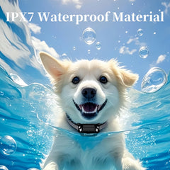 800m Digital Dog Training Collar - Waterproof Rechargeable Remote Control Pet Collar with LCD Display for All Sizes