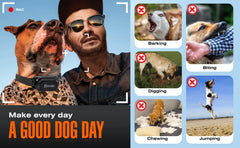 800m Digital Dog Training Collar - Waterproof Rechargeable Remote Control Pet Collar with LCD Display for All Sizes