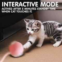Smart USB Rolling Cat Ball – Rechargeable Interactive Toy with Tail Light & 4 Modes