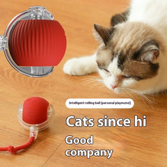 Smart USB Rolling Cat Ball – Rechargeable Interactive Toy with Tail Light & 4 Modes