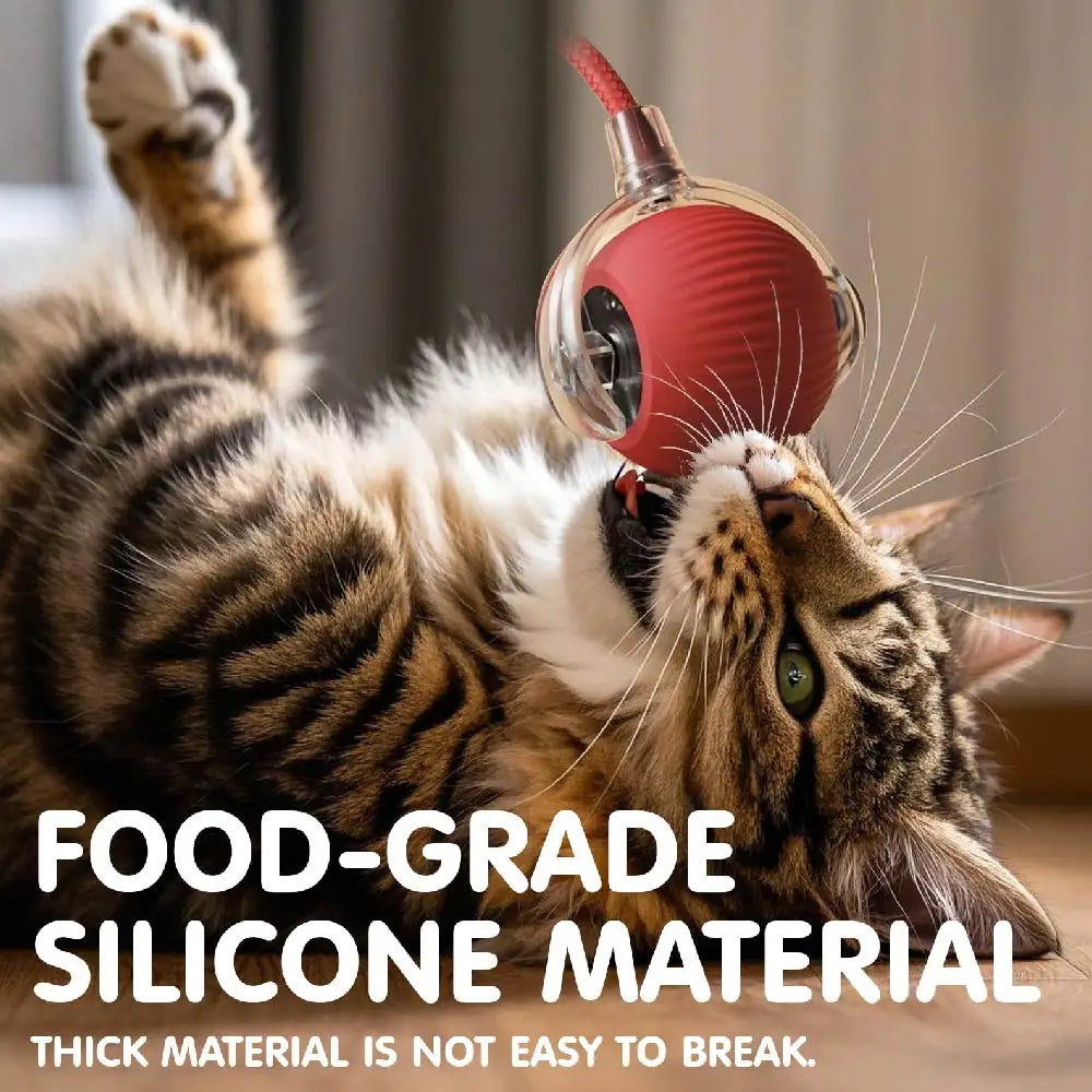Smart USB Rolling Cat Ball – Rechargeable Interactive Toy with Tail Light & 4 Modes