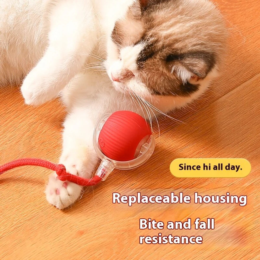 Smart USB Rolling Cat Ball – Rechargeable Interactive Toy with Tail Light & 4 Modes