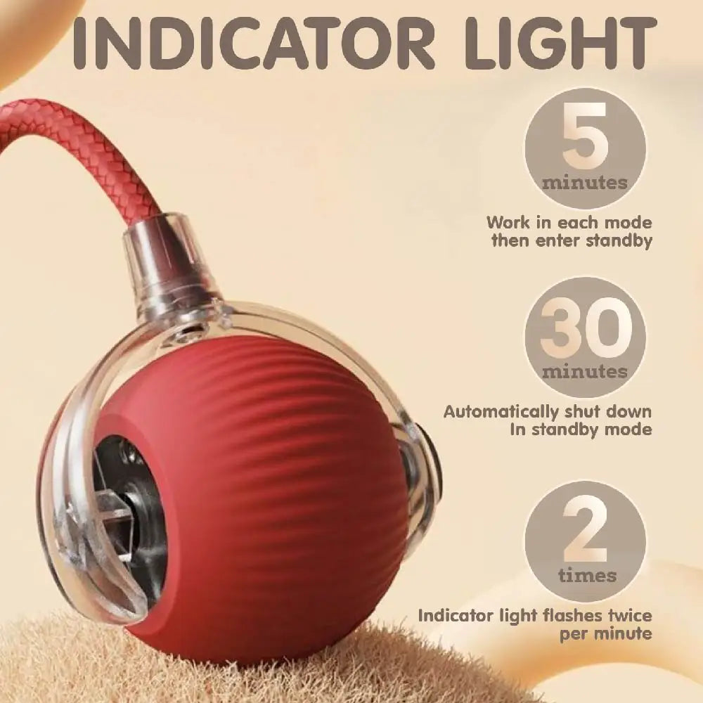 Smart USB Rolling Cat Ball – Rechargeable Interactive Toy with Tail Light & 4 Modes