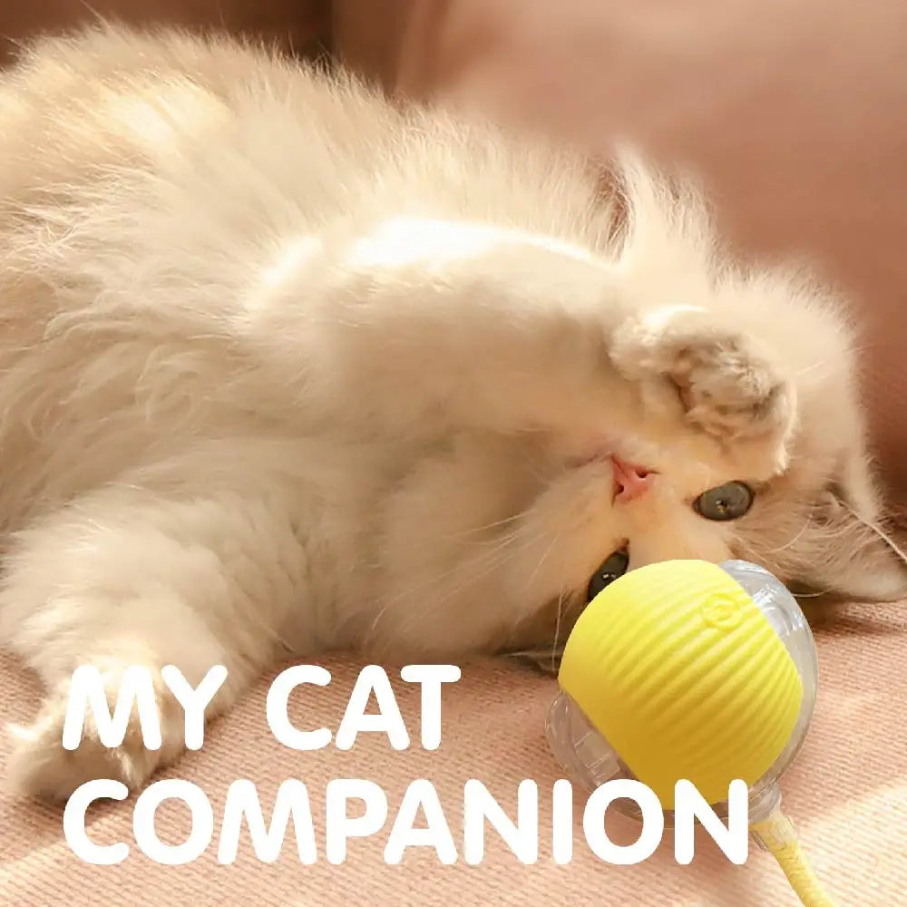 Smart USB Rolling Cat Ball – Rechargeable Interactive Toy with Tail Light & 4 Modes