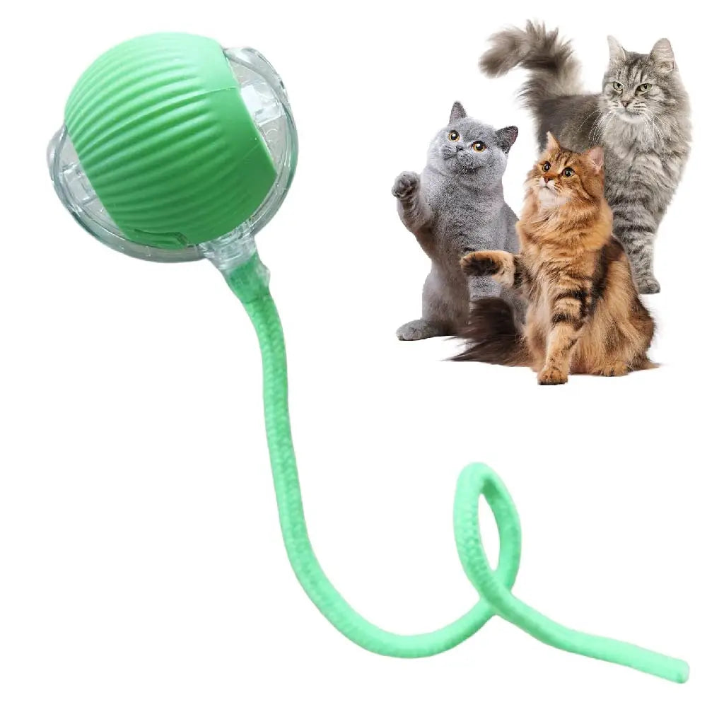 Smart USB Rolling Cat Ball – Rechargeable Interactive Toy with Tail Light & 4 Modes