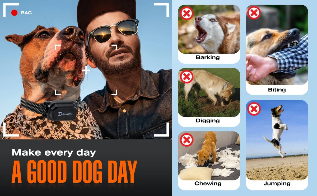 800m Digital Dog Training Collar - Waterproof Rechargeable Remote Control Pet Collar with LCD Display for All Sizes