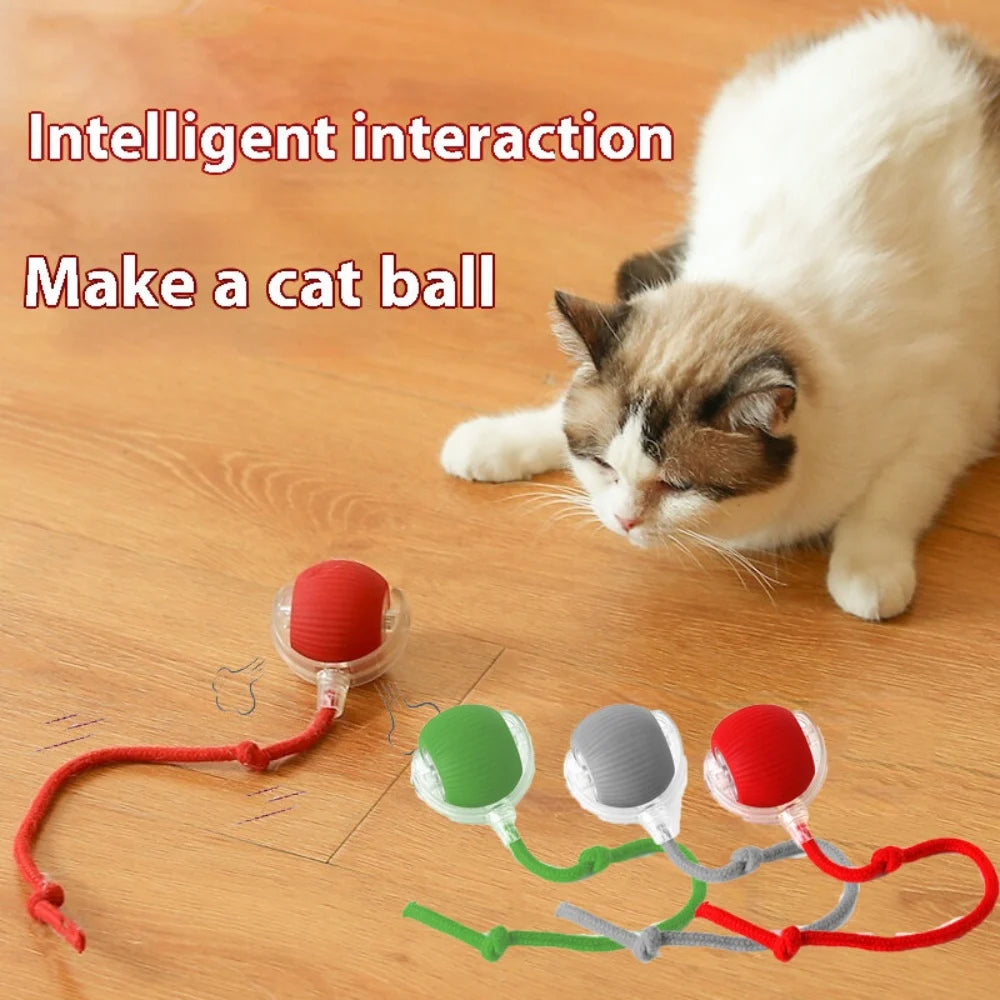 Smart USB Rolling Cat Ball – Rechargeable Interactive Toy with Tail Light & 4 Modes