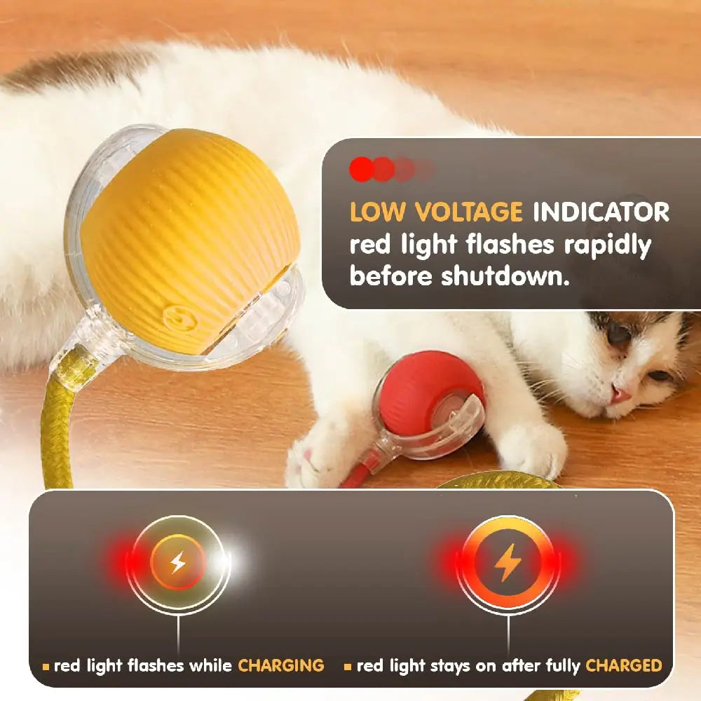 Smart USB Rolling Cat Ball – Rechargeable Interactive Toy with Tail Light & 4 Modes