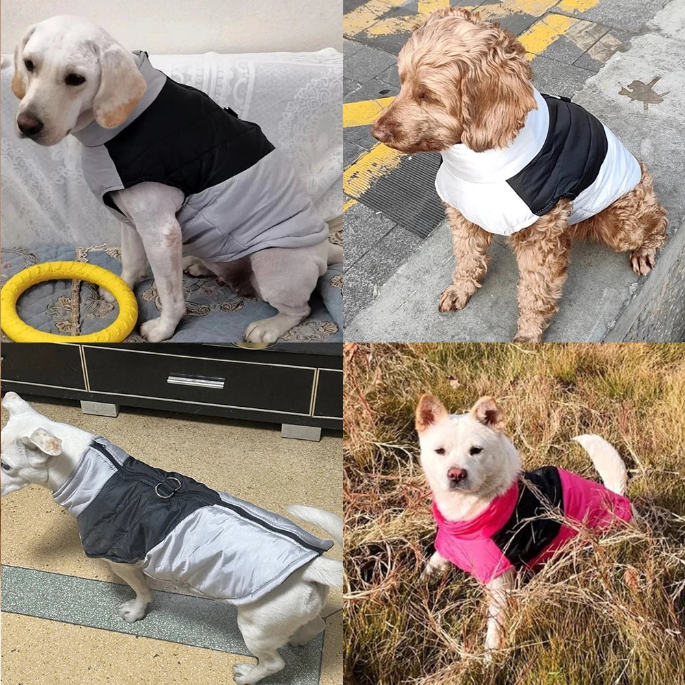 Cozy Puppy Clothes Winter Windproof Jacket Coat - Warm Solid Pet Zipper Costumes for Small and Medium Dogs and Cats